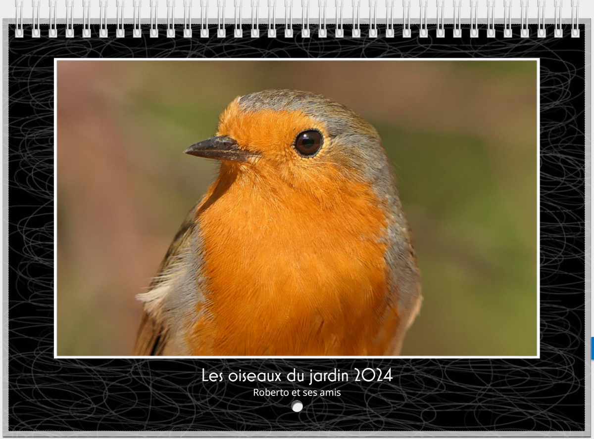 Acheter le calendrier des oiseaux de jardin 2024 ? Commandez en ligne  rapidement et facilement 