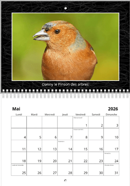 Calendriers 2026 "les oiseaux du jardin"