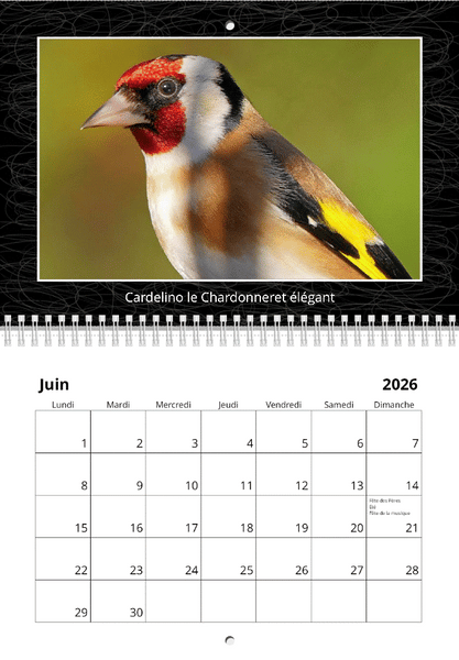 Calendriers 2026 "les oiseaux du jardin"