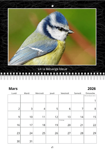 Calendriers 2026 "les oiseaux du jardin"