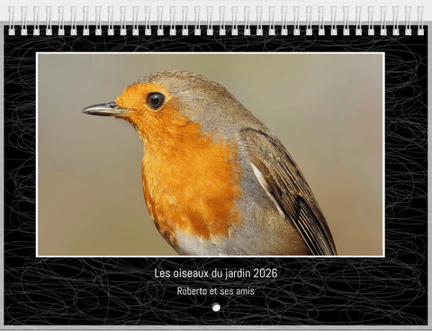 Calendriers 2026 "les oiseaux du jardin"