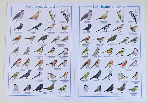 2 affiches "les oiseaux du jardin"