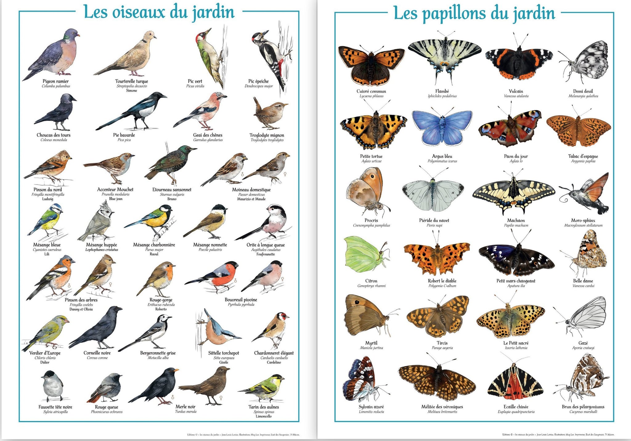 Affiches "les oiseaux du jardin+affiche "les papillons du jardin"